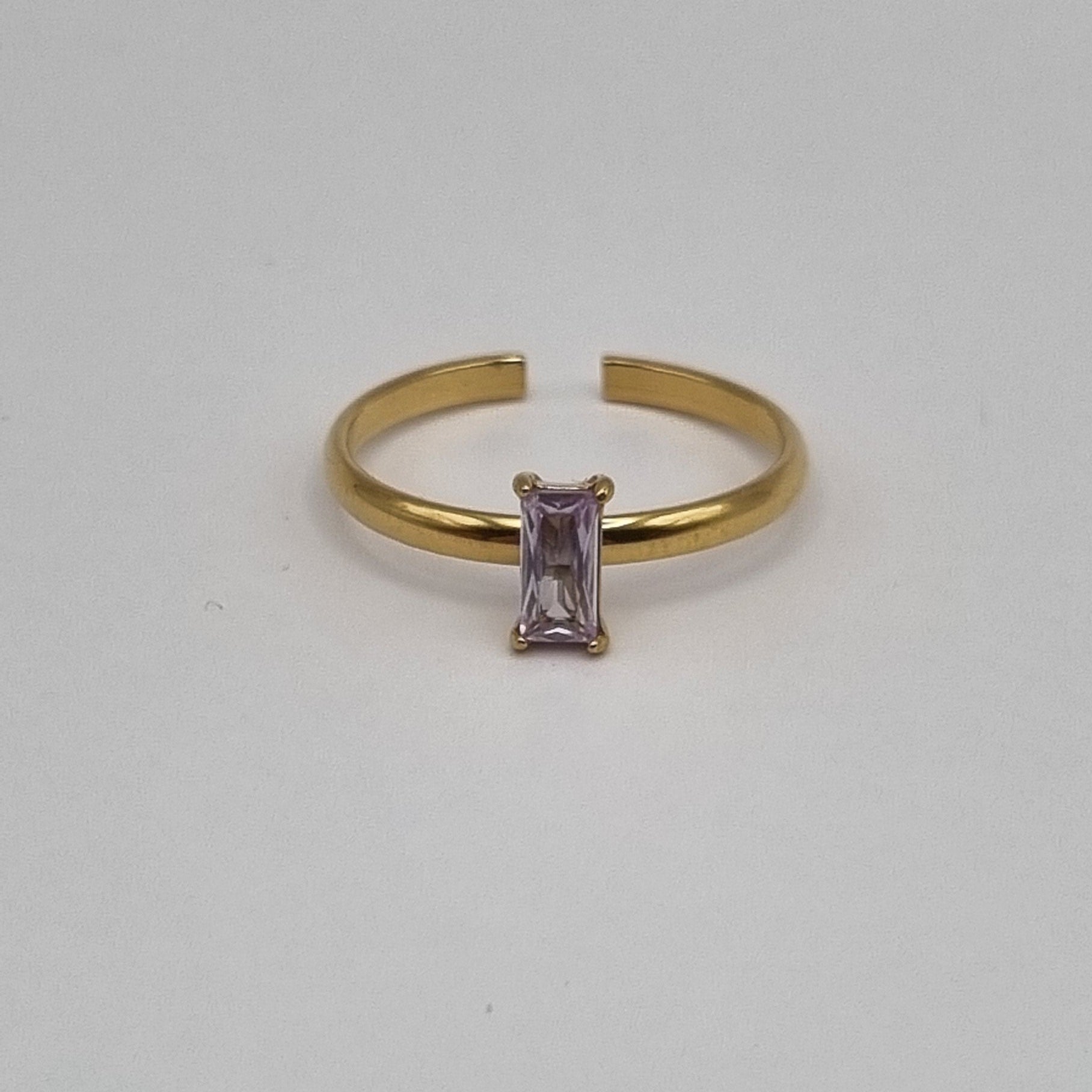 Geboortesteen ring februari RVS verstelbaar