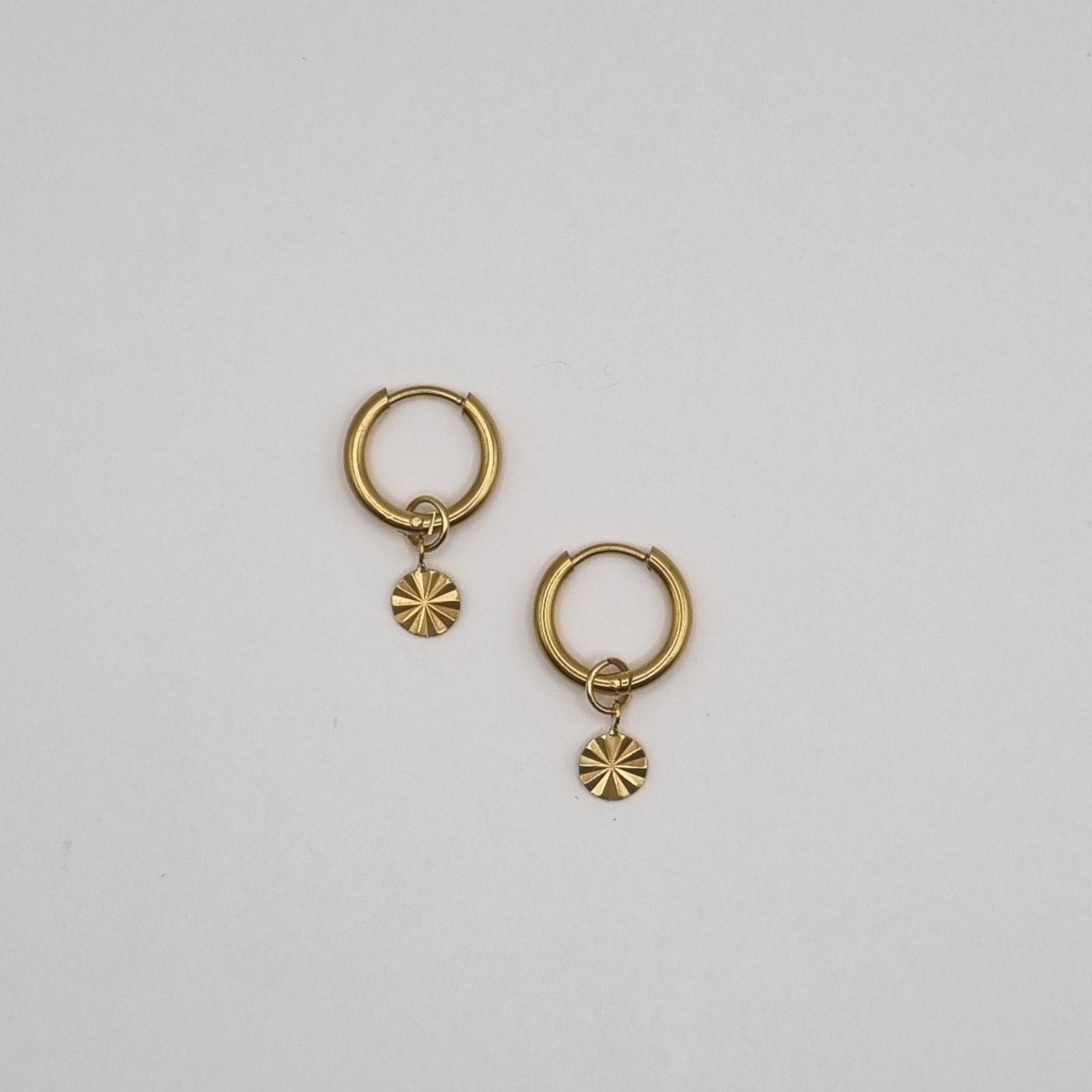 Oorringen muntje RVS BY SANNE goud