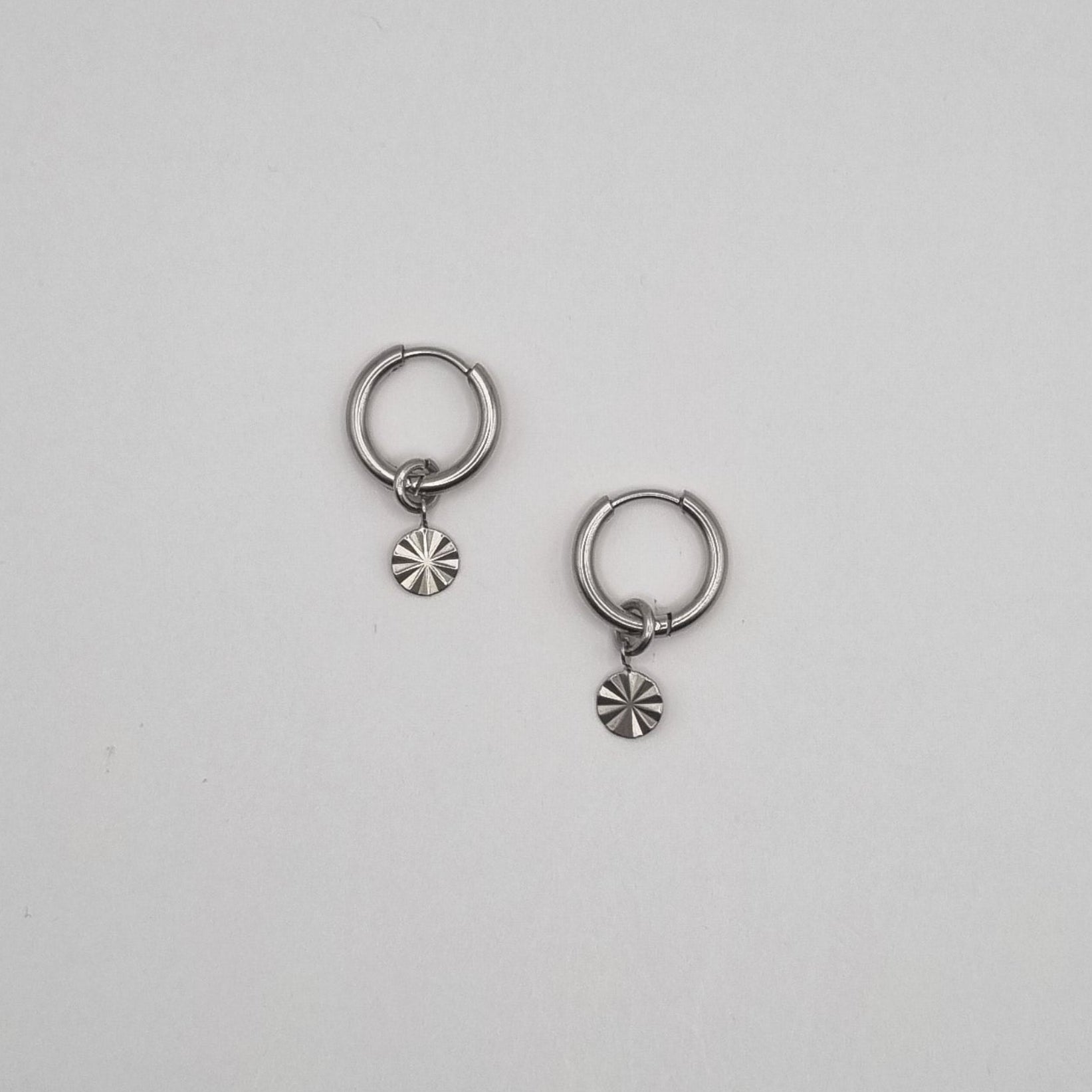 Oorringen muntje RVS BY SANNE zilver