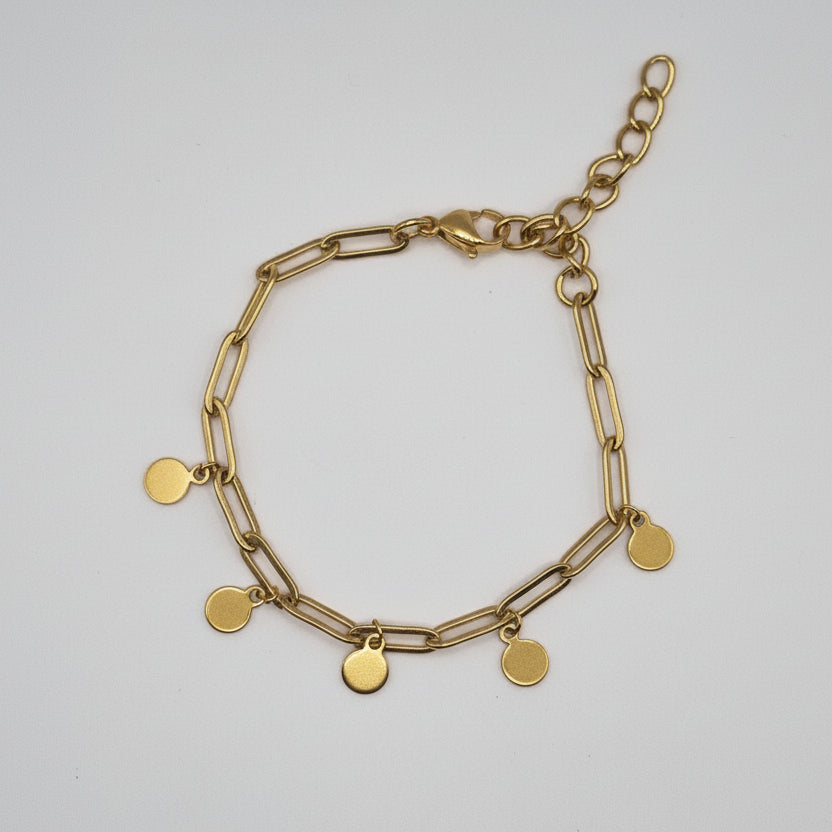 RVS amrband bedels met muntjes BY SANNE goud